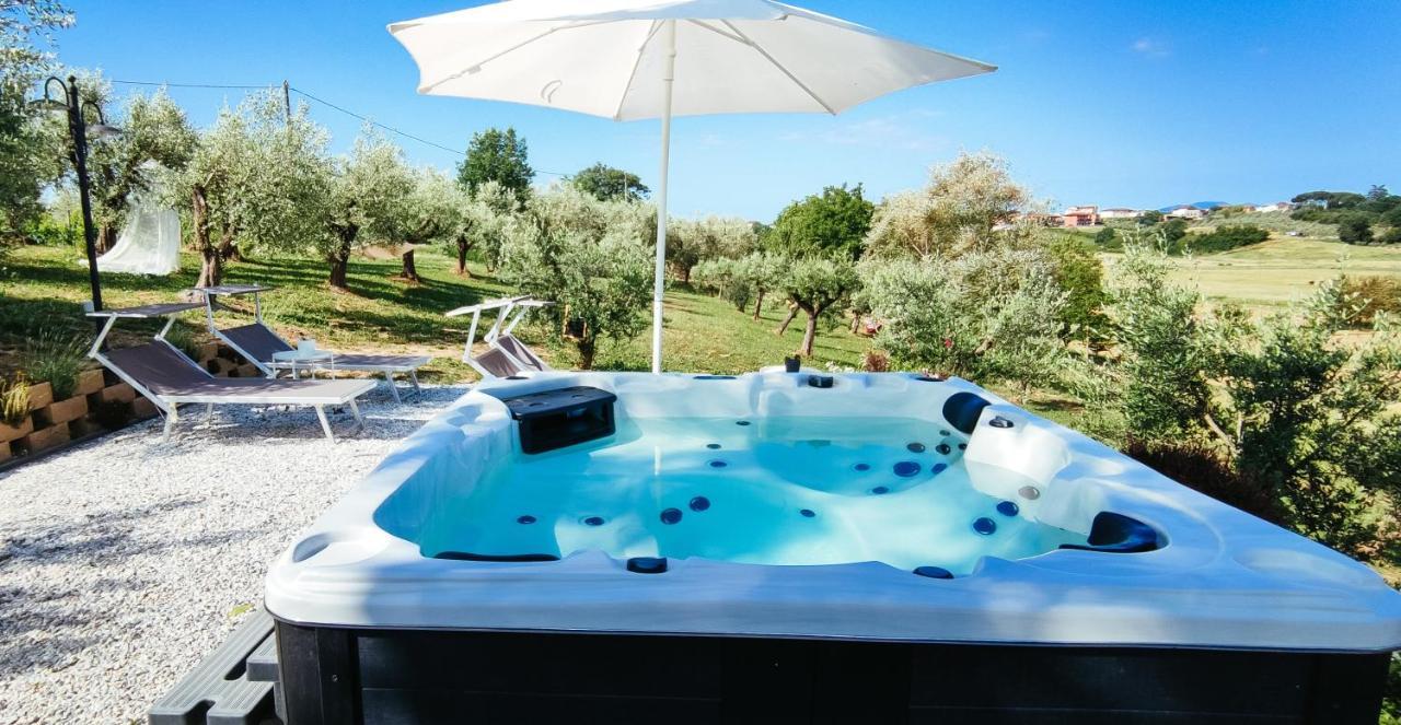 The Olive Grove In Tuscany Toiano Εξωτερικό φωτογραφία