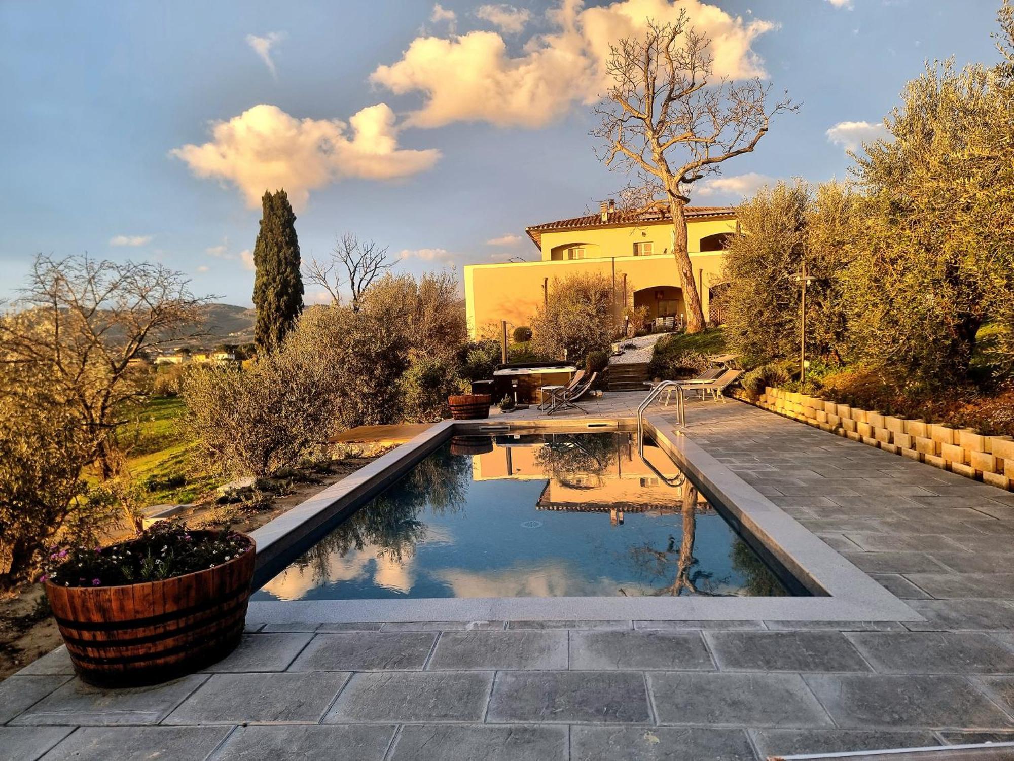 The Olive Grove In Tuscany Toiano Εξωτερικό φωτογραφία